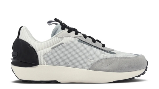 Gray and black sneaker on a white background